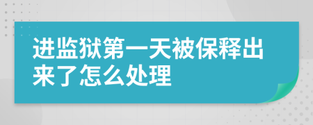 进监狱第一天被保释出来了怎么处理