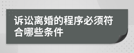 诉讼离婚的程序必须符合哪些条件