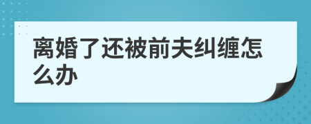 离婚了还被前夫纠缠怎么办