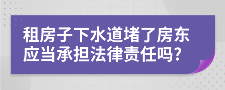 租房子下水道堵了房东应当承担法律责任吗?