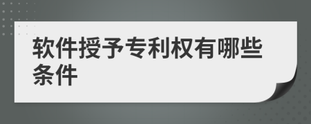 软件授予专利权有哪些条件
