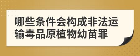 哪些条件会构成非法运输毒品原植物幼苗罪