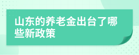 山东的养老金出台了哪些新政策