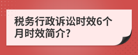 税务行政诉讼时效6个月时效简介?