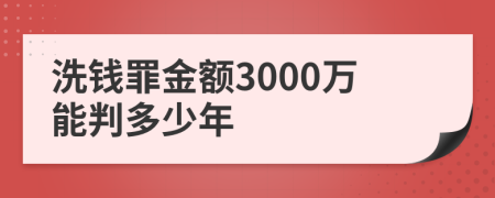 洗钱罪金额3000万能判多少年