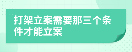 打架立案需要那三个条件才能立案