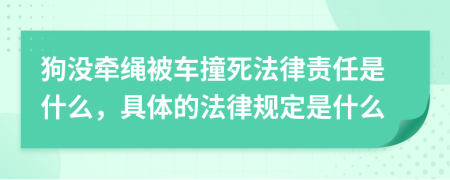 狗没牵绳被车撞死法律责任是什么，具体的法律规定是什么