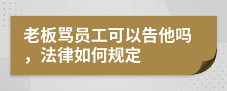 老板骂员工可以告他吗，法律如何规定