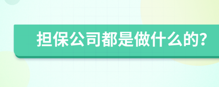 担保公司都是做什么的？