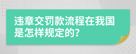 违章交罚款流程在我国是怎样规定的？