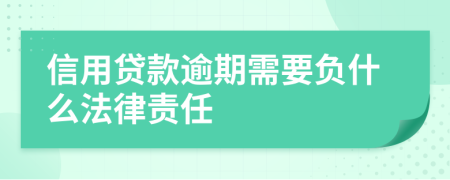 信用贷款逾期需要负什么法律责任