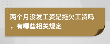 两个月没发工资是拖欠工资吗，有哪些相关规定