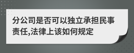 分公司是否可以独立承担民事责任,法律上该如何规定