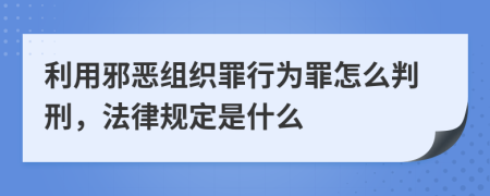 利用邪恶组织罪行为罪怎么判刑，法律规定是什么