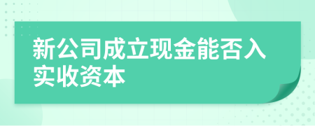 新公司成立现金能否入实收资本