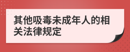 其他吸毒未成年人的相关法律规定