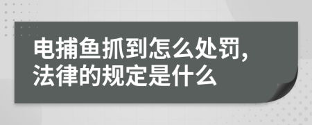 电捕鱼抓到怎么处罚,法律的规定是什么