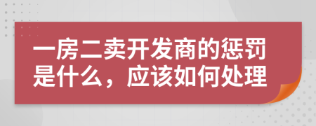 一房二卖开发商的惩罚是什么，应该如何处理