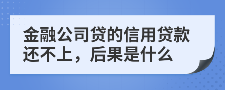 金融公司贷的信用贷款还不上，后果是什么