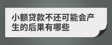 小额贷款不还可能会产生的后果有哪些