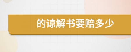 的谅解书要赔多少