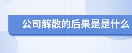 公司解散的后果是是什么