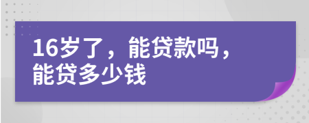 16岁了，能贷款吗，能贷多少钱