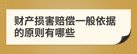 财产损害赔偿一般依据的原则有哪些