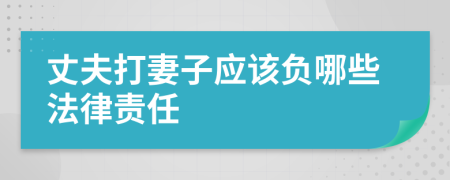 丈夫打妻子应该负哪些法律责任