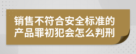 销售不符合安全标准的产品罪初犯会怎么判刑