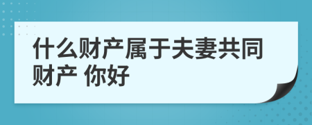 什么财产属于夫妻共同财产 你好