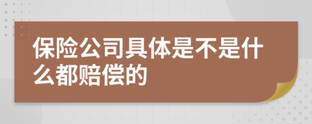 保险公司具体是不是什么都赔偿的