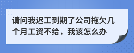 请问我迟工到期了公司拖欠几个月工资不给，我该怎么办