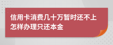 信用卡消费几十万暂时还不上怎样办理只还本金