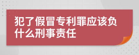 犯了假冒专利罪应该负什么刑事责任