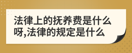 法律上的抚养费是什么呀,法律的规定是什么