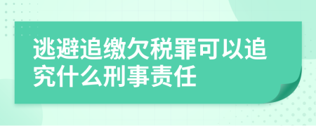 逃避追缴欠税罪可以追究什么刑事责任