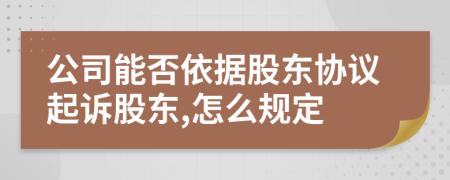 公司能否依据股东协议起诉股东,怎么规定