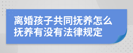 离婚孩子共同抚养怎么抚养有没有法律规定