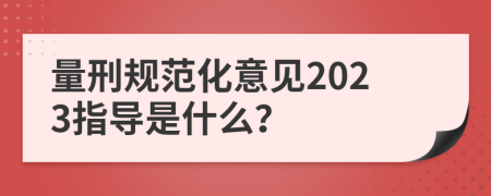 量刑规范化意见2023指导是什么？