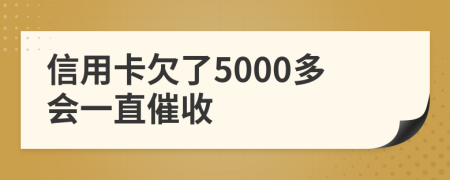 信用卡欠了5000多会一直催收