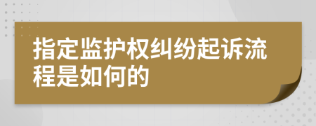 指定监护权纠纷起诉流程是如何的