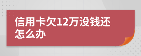 信用卡欠12万没钱还怎么办