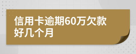 信用卡逾期60万欠款好几个月