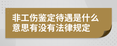 非工伤鉴定待遇是什么意思有没有法律规定