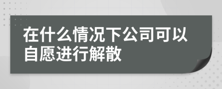 在什么情况下公司可以自愿进行解散