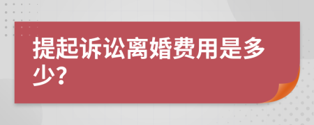 提起诉讼离婚费用是多少？