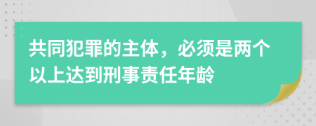 共同犯罪的主体，必须是两个以上达到刑事责任年龄