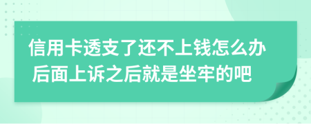 信用卡透支了还不上钱怎么办 后面上诉之后就是坐牢的吧