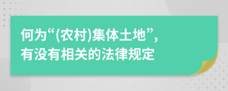 何为“(农村)集体土地”,有没有相关的法律规定